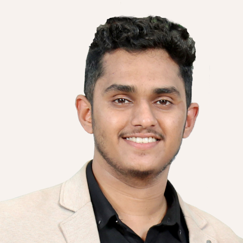 Profile of Lead Architect